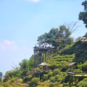 (한국어가이드) 치앙마이 몬쨈 + 후웨이퉁타오 호수 단독 투어