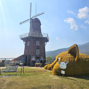 (한국어가이드) 치앙마이 몬쨈 + 후웨이퉁타오 호수 단독 투어
