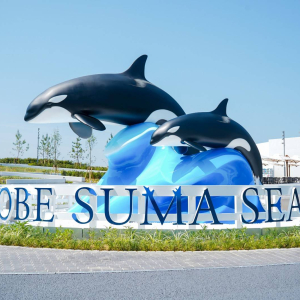 [고베] 고베 스마 씨월드 1일권 (11시 이후 가능)