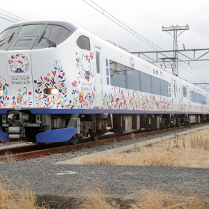 JR특급열차 하루카 편도티켓  (간사이공항↔나라)