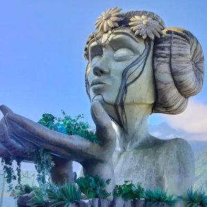 (한국어가이드) 사파 1박 2일 단독 투어 / 하노이 출발