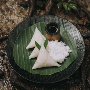 발리 커피 농장 + 우붓 데이투어