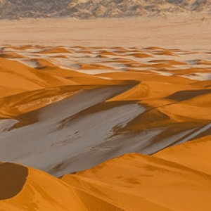 [몽골]  7박 8일 겨울 홉스골투어A