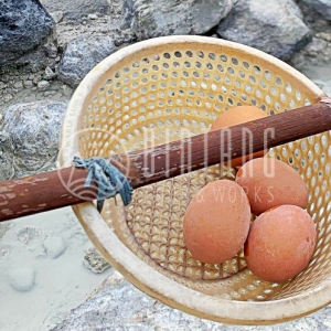 [자카르타]반둥 원데이 투어 | 탕쿠반 프라후, 도마스 분화구, 사리 아테르 온천