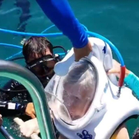 조인투어 참섬 스노클링 + 씨워킹