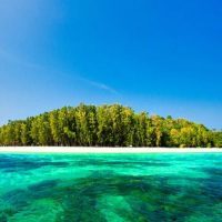 [푸켓] 피피섬 - 마야 & 대나무섬 (크리스탈 씨마린)