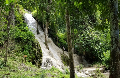 [치앙마이] 택시단독투어 -부아통 폭포+치앙다오동굴+왓반덴사원+추천카페