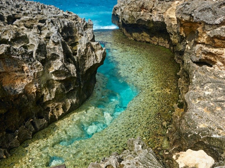 [발리] 누사페니다 만크가제 (4스팟) 스노클링 투어