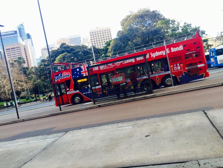 [시드니] 시드니 빅버스 티켓 - 수정 중