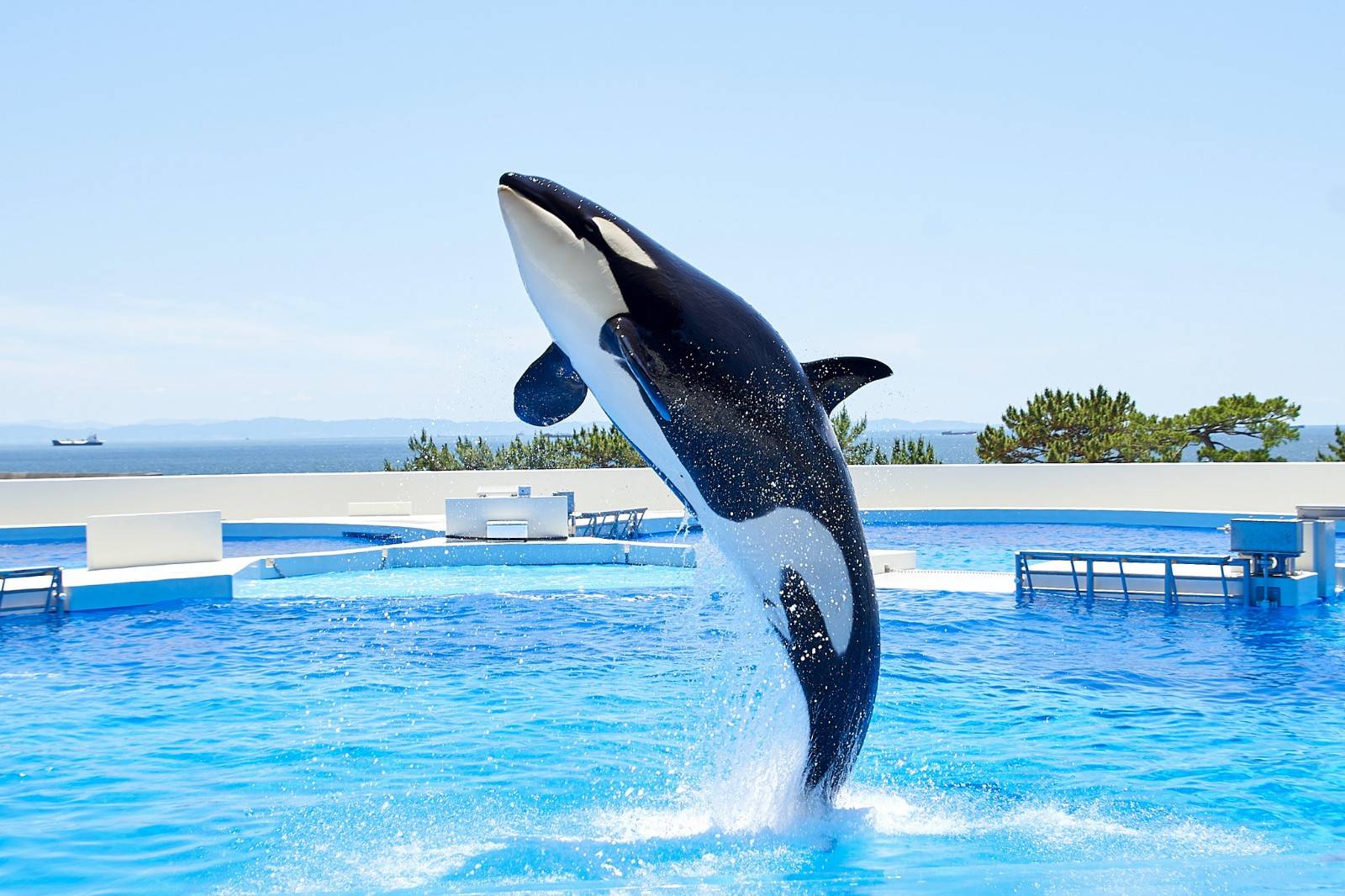 [고베] 고베 스마 씨월드 1일권 (11시 이후 가능)