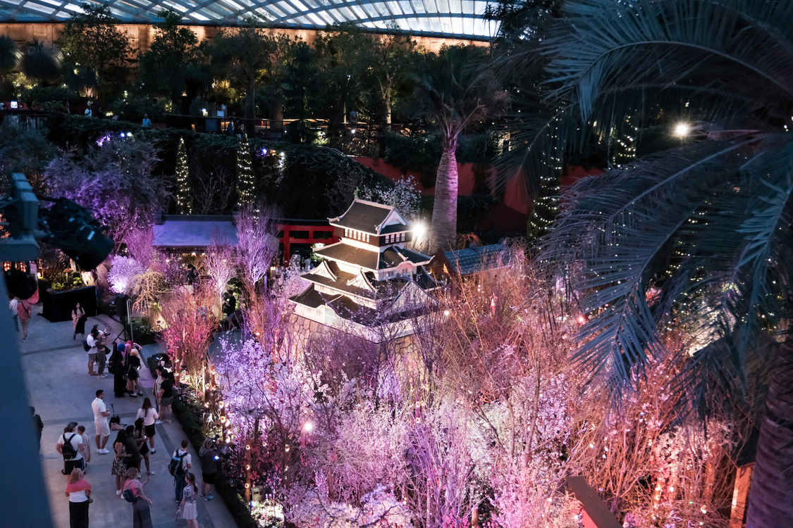 가든스 바이 더 베이 : 플라워 돔/클라우드 포레스트/플로럴 판타지