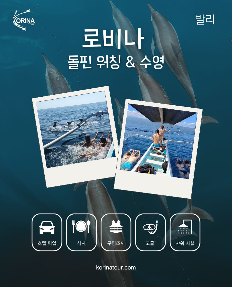 발리 로비나 돌핀 워칭 & 수영