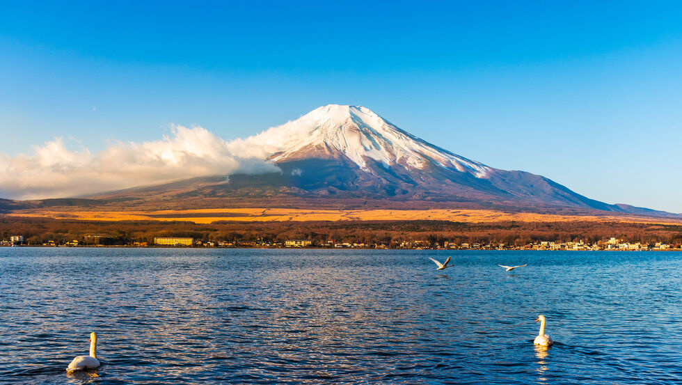 후지산 포토 스팟 일일 투어 D 코스 대표 이미지