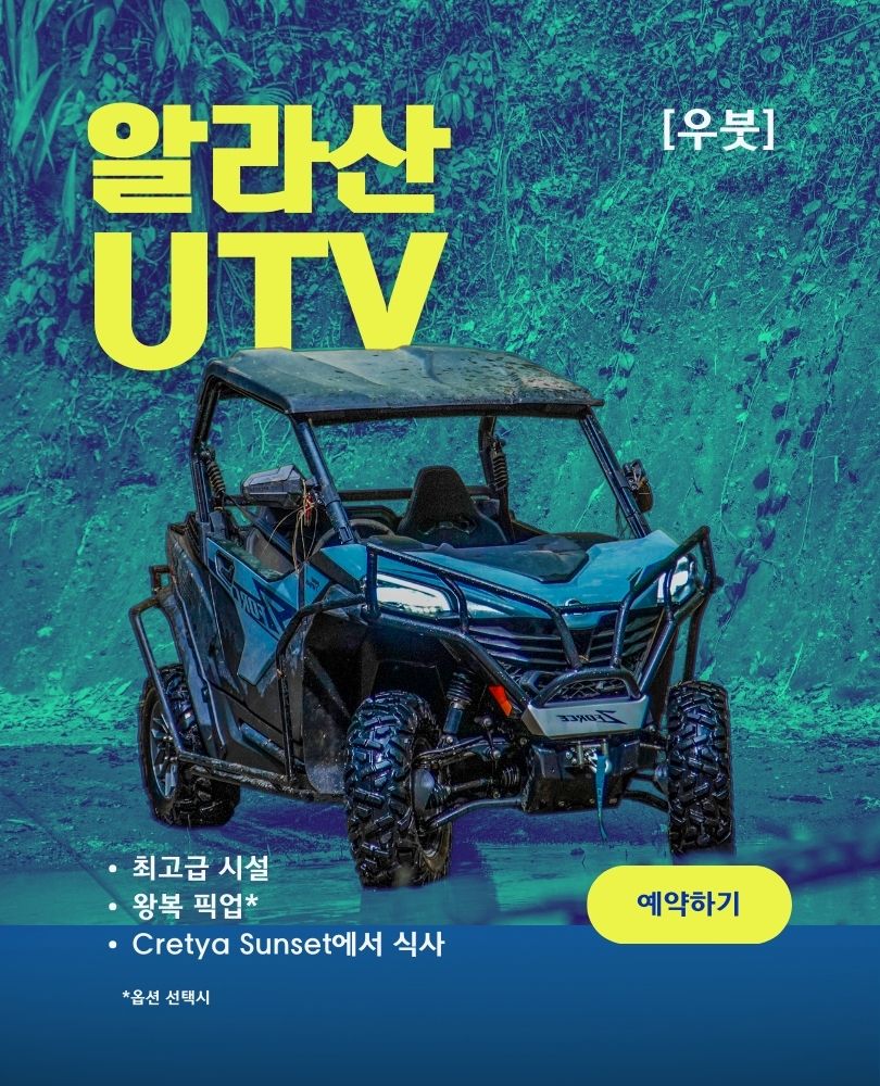발리 우붓 알라산 어드벤처 프리미엄 버기 UTV 라이딩