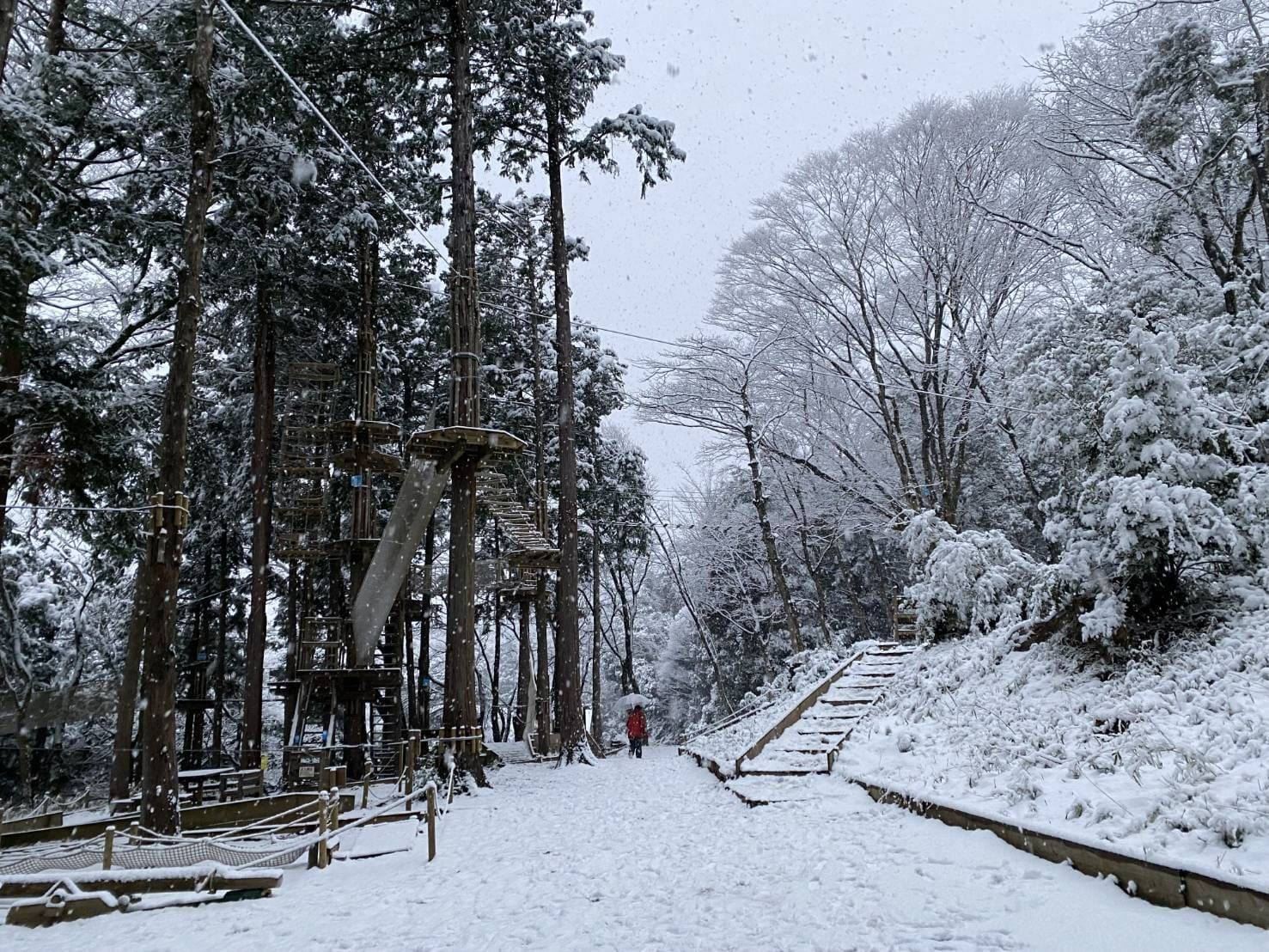 [가나가와] 포레스트 어드벤처 하코네 어드벤처 코스